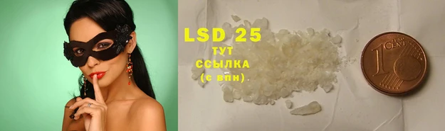 дмт Белокуриха