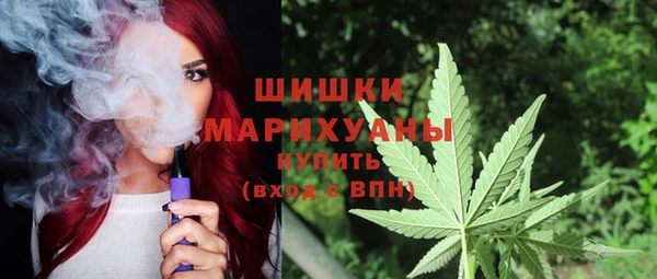 дмт Белокуриха